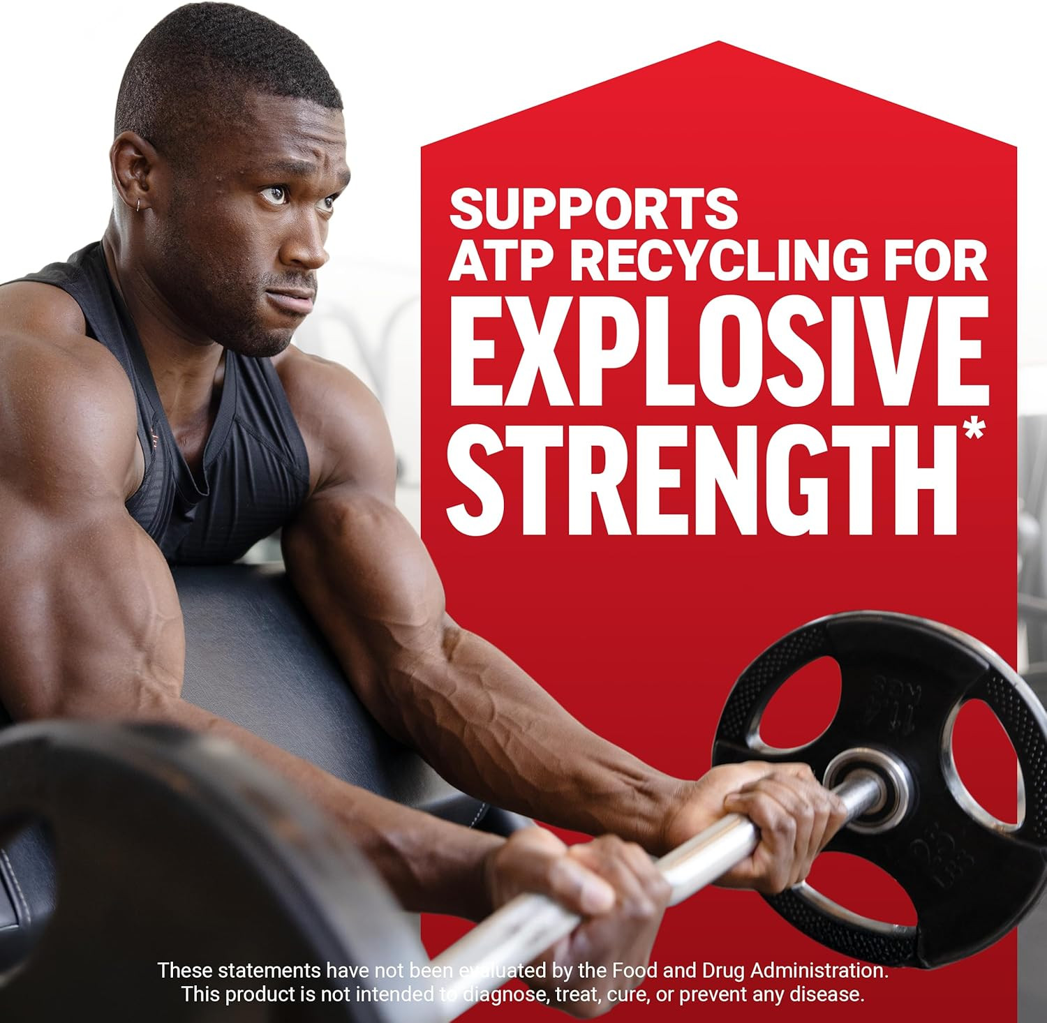 Creatine Monohydrate Powder, 5G Dose, Micronized