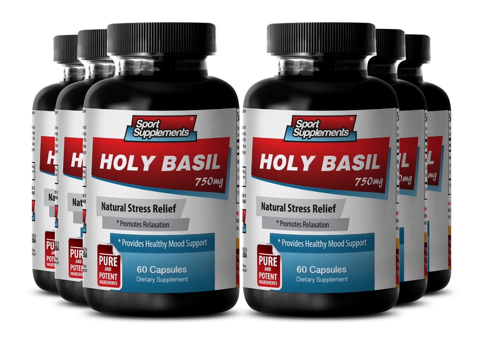 Memory Supplement – Holy Basil Extract 750mg – Focus,Alert, Concentration 6B