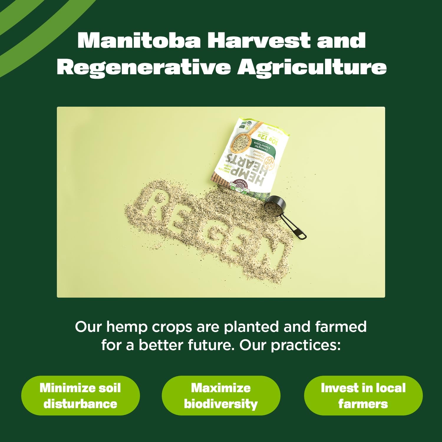 Manitoba Harvest Organic Hemp Hearts Protein Supplement Powder 12 Ounce