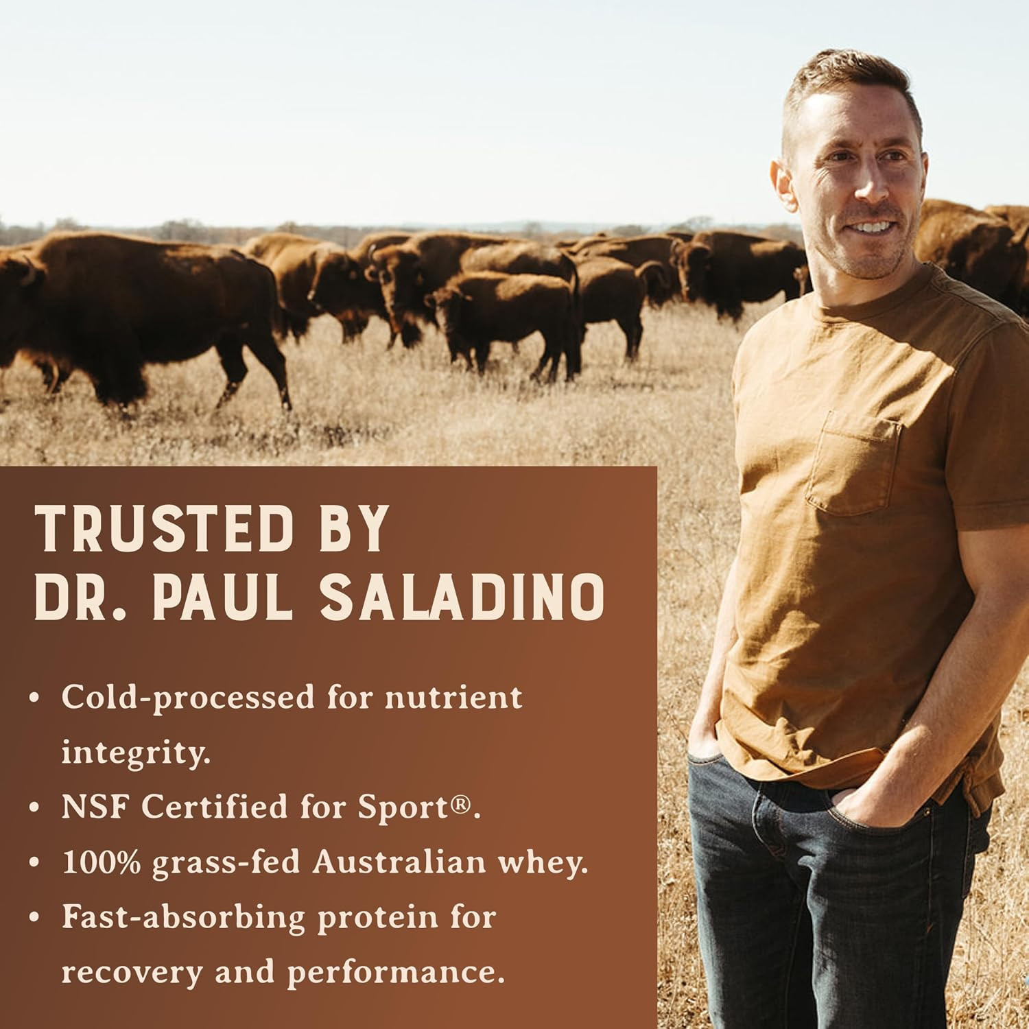 100% Grass Fed Whey Chocolate Protein Powder – Only Four Ingrediants, Absolutely