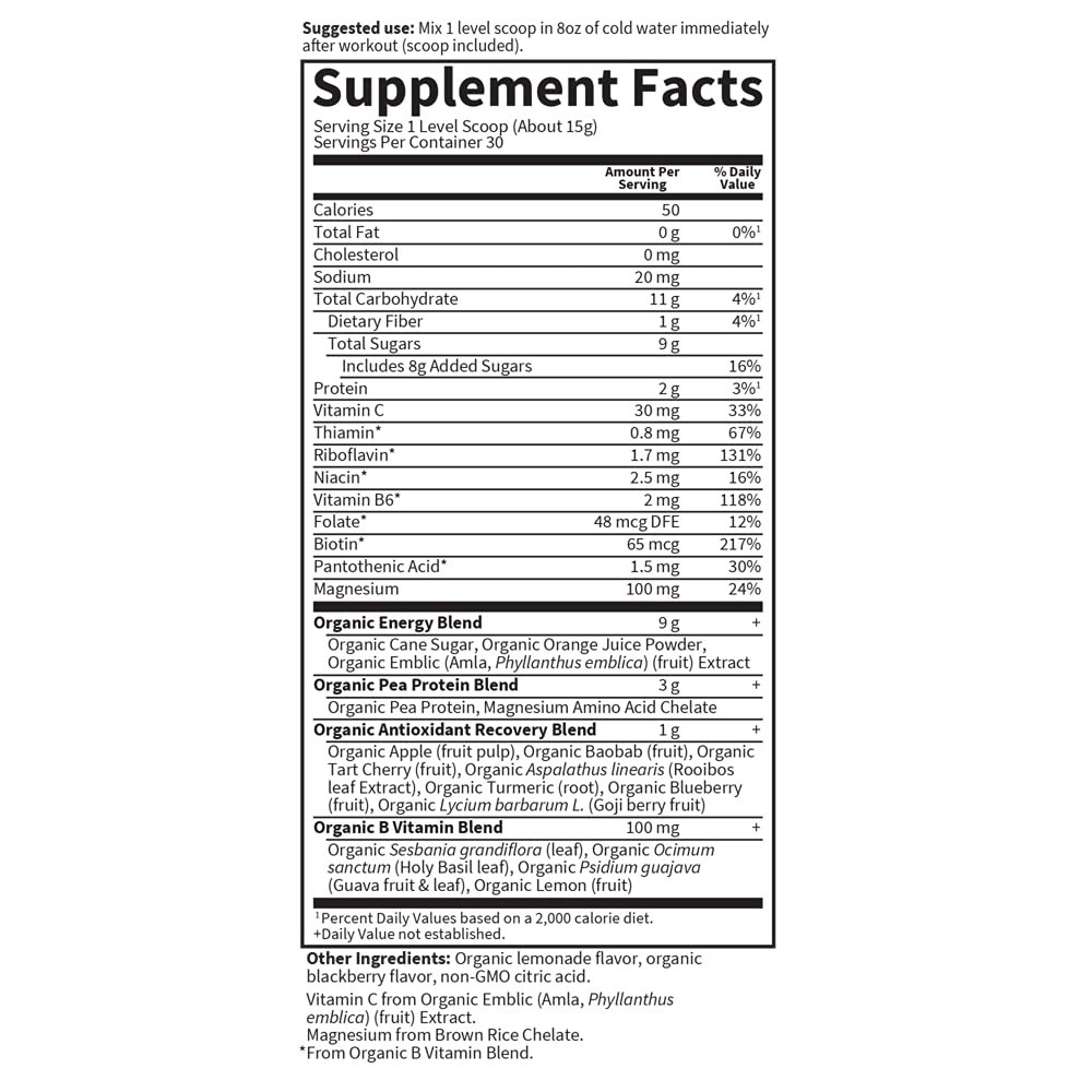 Organic Post Workout Recovery Drink Supplement with Antioxidants 30 Servings
