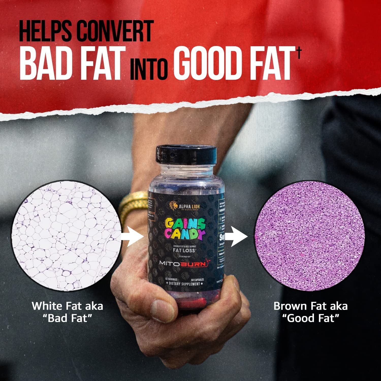 ALPHA LION Gains Candy, Supplement Pills that Support Weight Loss, Appetite S…
