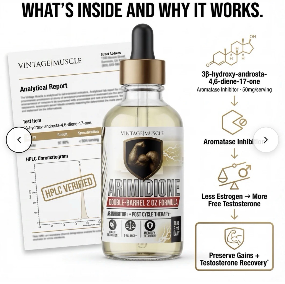 Post Cycle Therapy Stack Test Optimizer Arimotase Inhibitor By Vintage Muscle