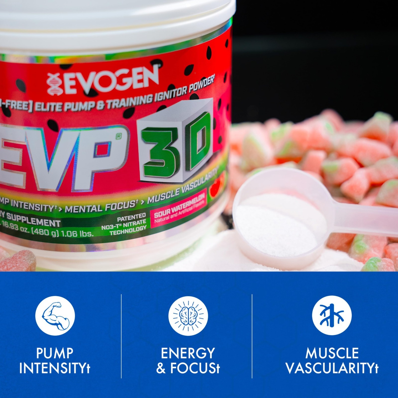 Stim-Free Pre Workout Powder | Sugar-Free Energy & Pump | Beta Alanine & Creatin