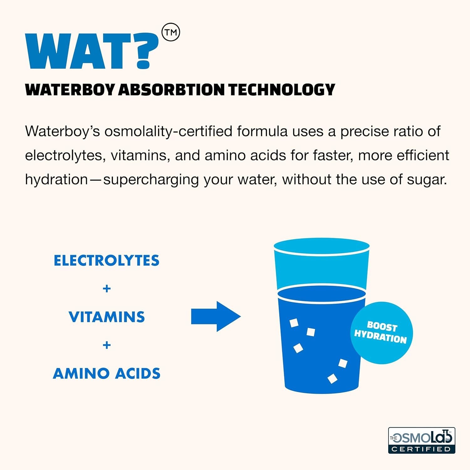 Waterboy Workout Hydration – Sugar-Free Electrolyte Powder–Blue Raspberry – 15ct