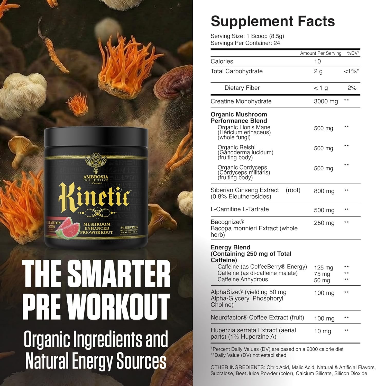 Natural Pre Workout Powder | 24 Servings of Mushroom Energy with 3g Creatine