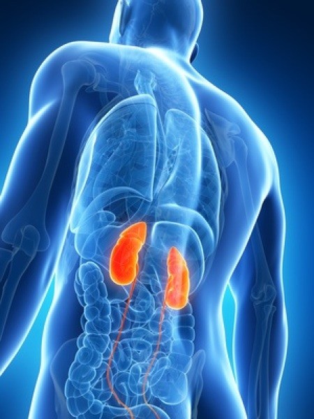 kidney cleanse and detox – WATER AWAY PILLS 700mg 3B — remove excess water