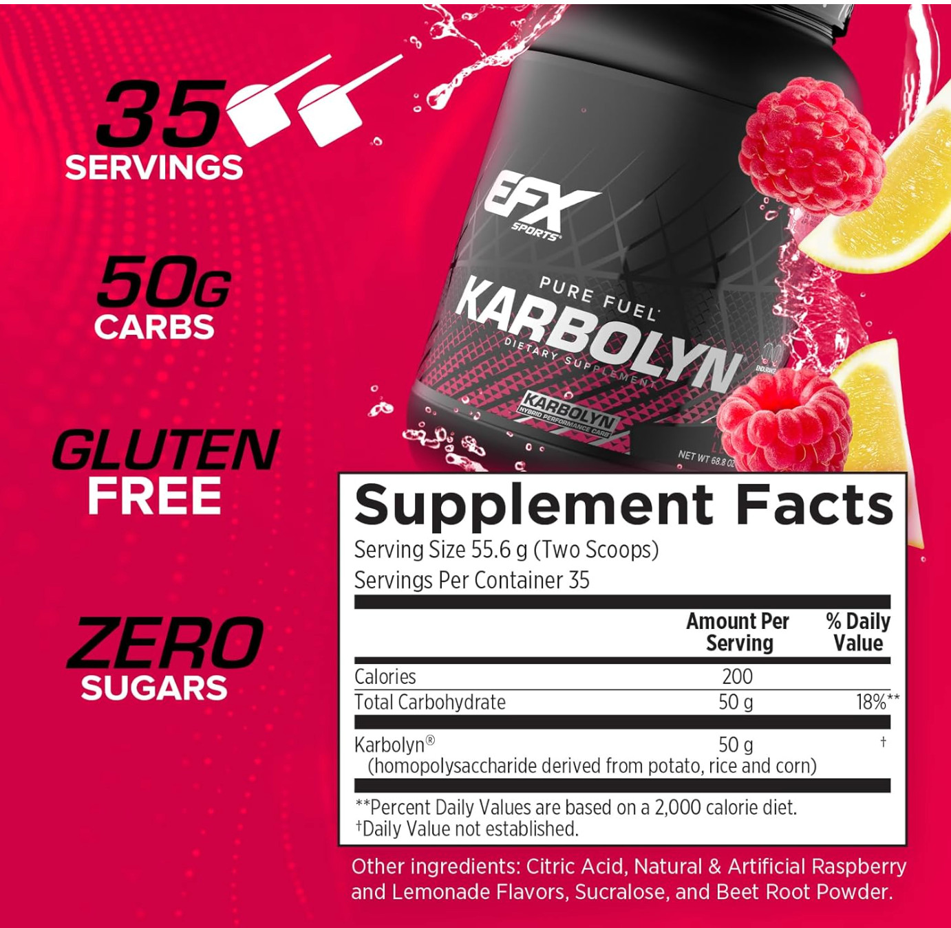 EFX Sports Karbolyn Fuel Fast-Absorbing Carbohydrate Powder Raspberry Lemonade