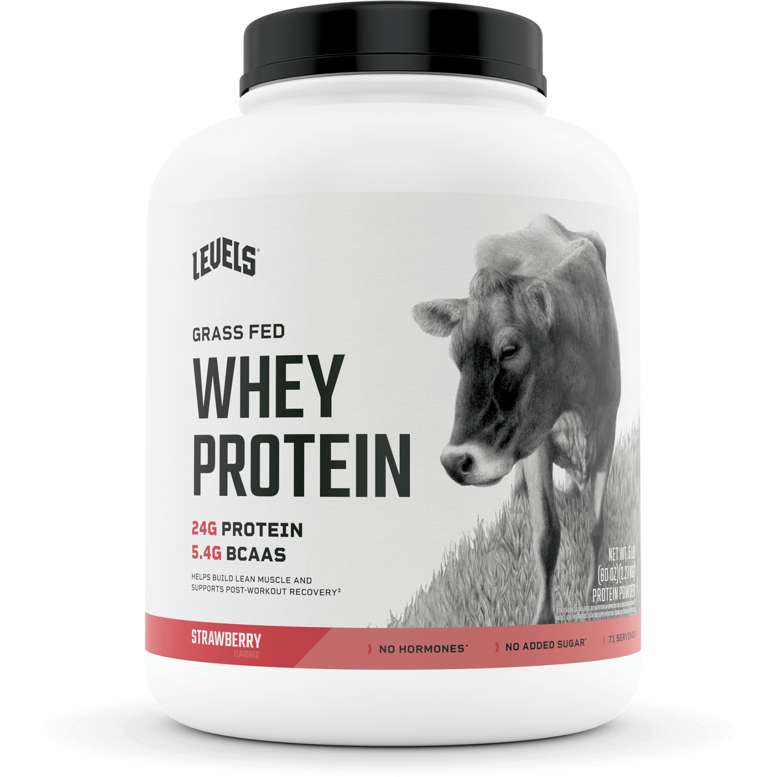 Levels Grass Fed 100% Whey Protein – 9 Flavors! – CHOOSE FLAVOR – 5 LB