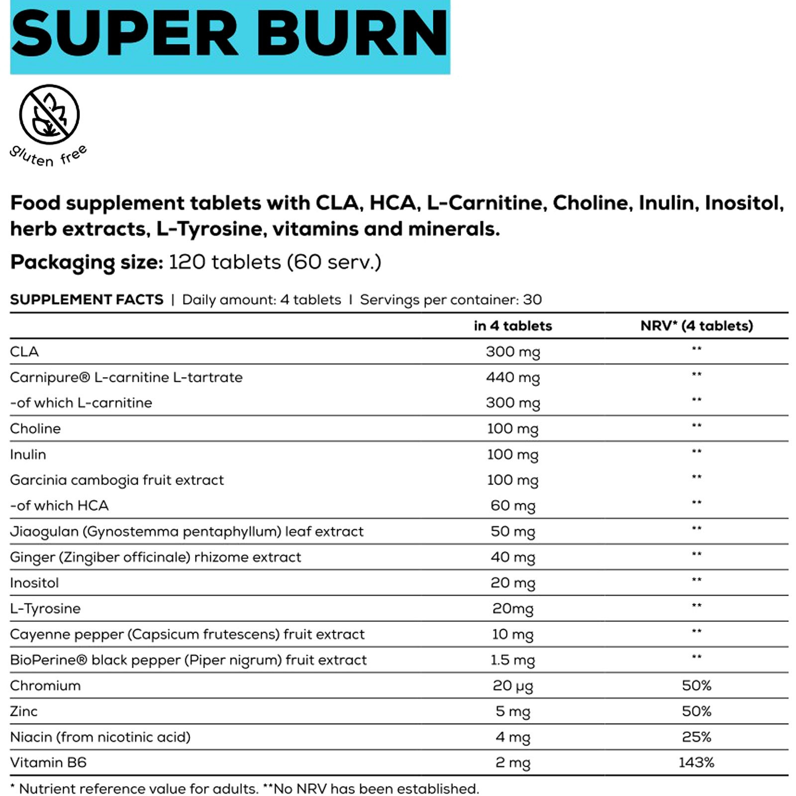 BioTech USA FAT BURNER 120 Tablets Weight Loss Slimming Reduction Dieting Diet