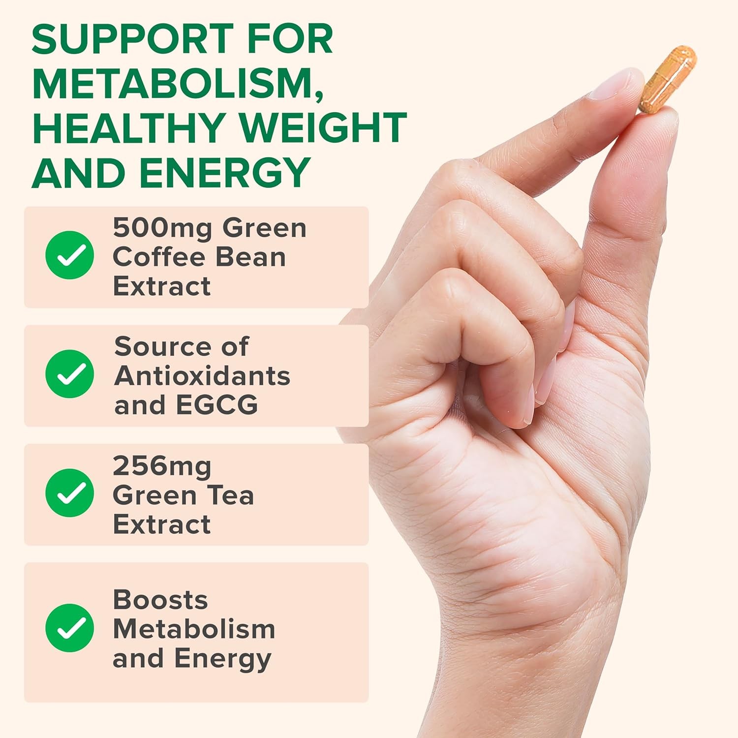 Zenwise Health EGCG Green Tea Extract Capsules with Coffee Bean Extract – 50% EG