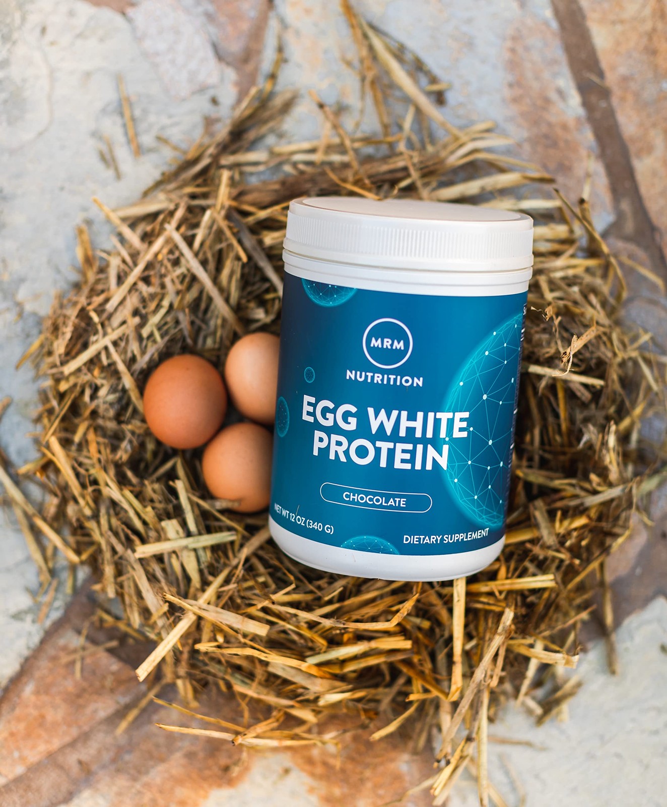 Chocolate Egg White Protein Powder 1.5 lb Dairy Free Gluten Free 23g Protein
