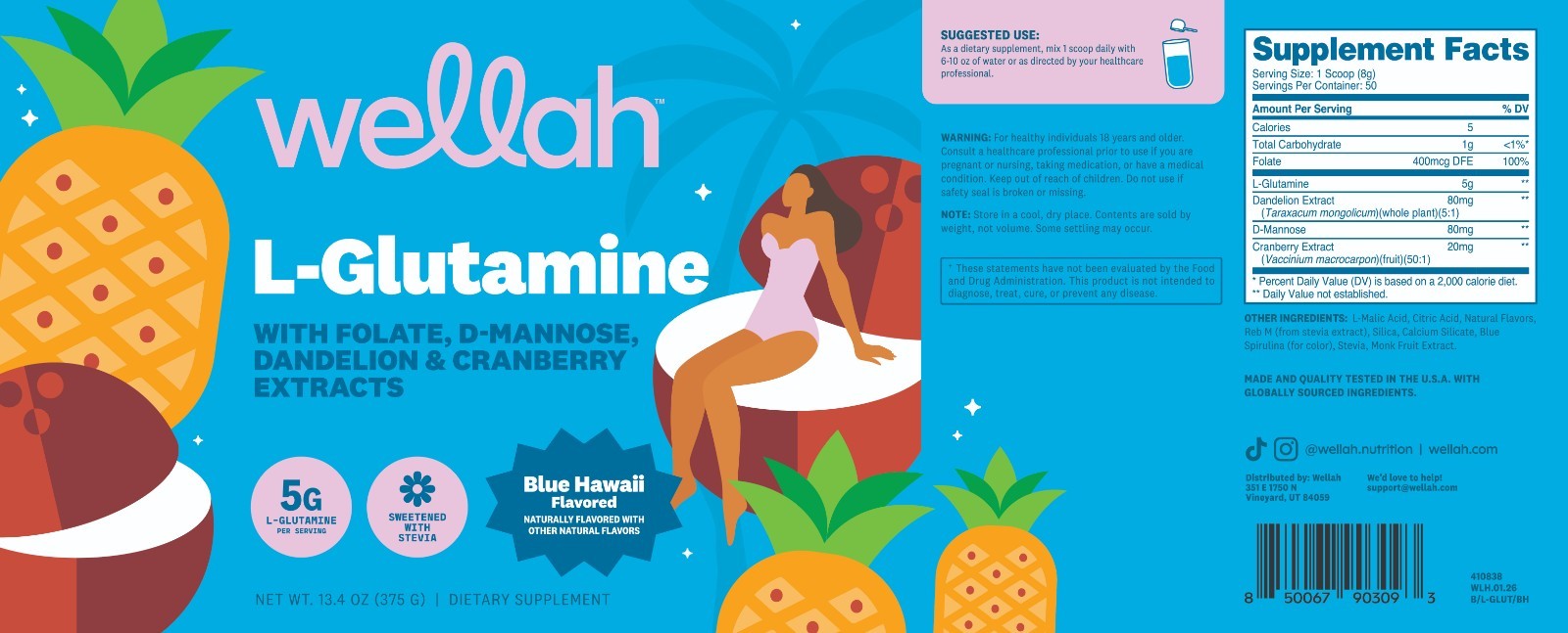 Wellah L-Glutamine Blue Hawaii Powder (50 Servings) – 5g L-Glutamine Per Serving