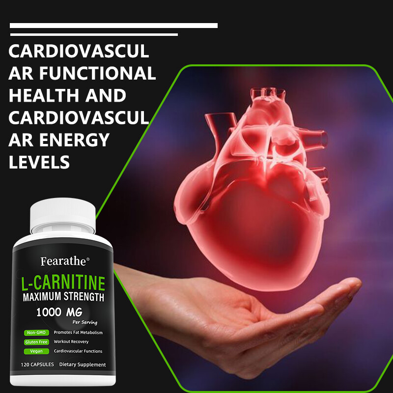L-Carnitine – Balances Cardiovascular Health and Fat Metabolism