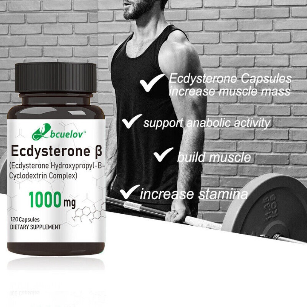 Ecdysterone β Supplement Enhance Endurance Strength Athletic Performance US