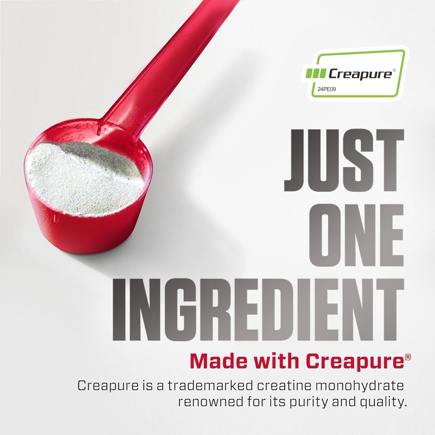 Creatine Monohydrate Powder with CREAPURE Product of , 5g Per Serving, 60 Ser…