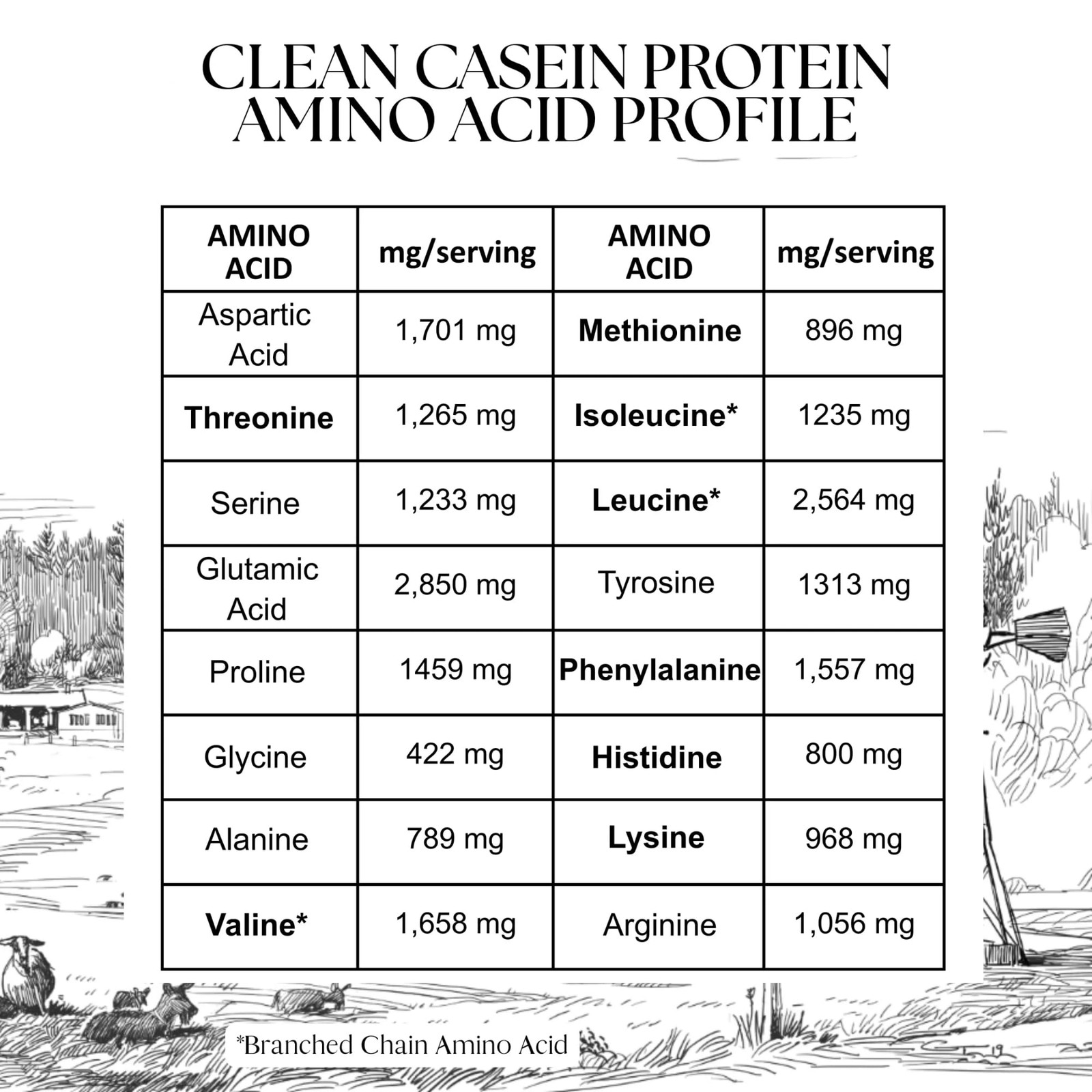 Mt. Capra Clean Casein Protein Powder Slow-Digesting A2 Goat Milk Protein 26G