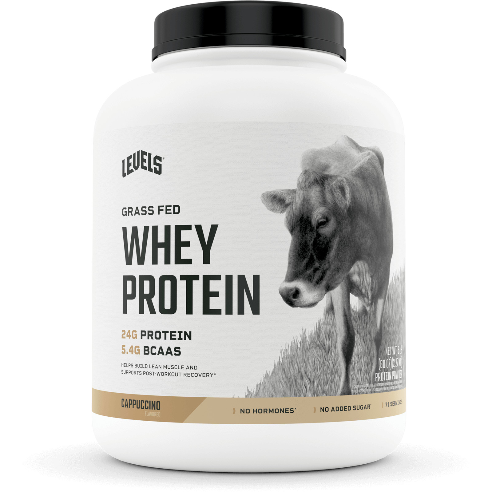 Levels Grass Fed 100% Whey Protein – 9 Flavors! – CHOOSE FLAVOR – 5 LB