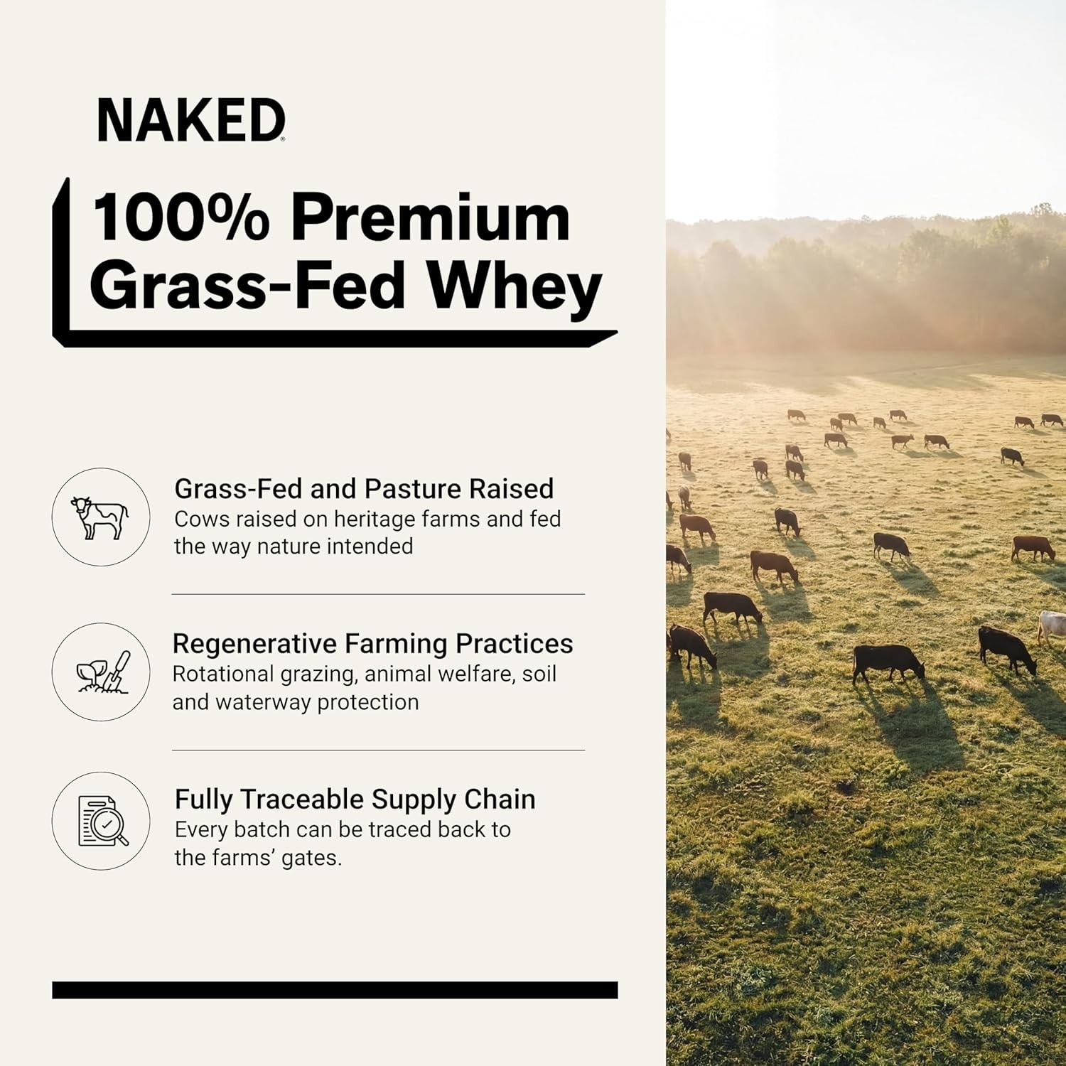 1Lb Grass Fed Whey Protein Powder – Only 1 Ingredient, Enhance Muscle Recovery