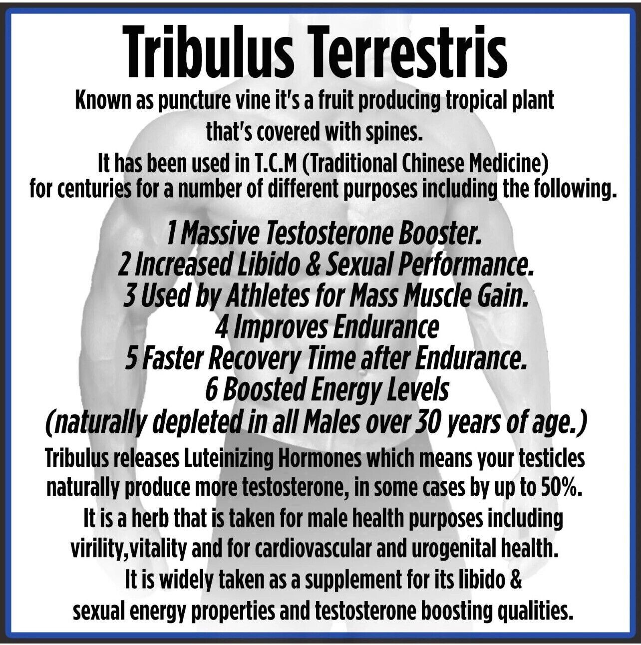 TRIBULUS TERRESTRIS 7500mg EXTRACT 96% SAPONINS WORKOUT SPORT SUPPLEMENT