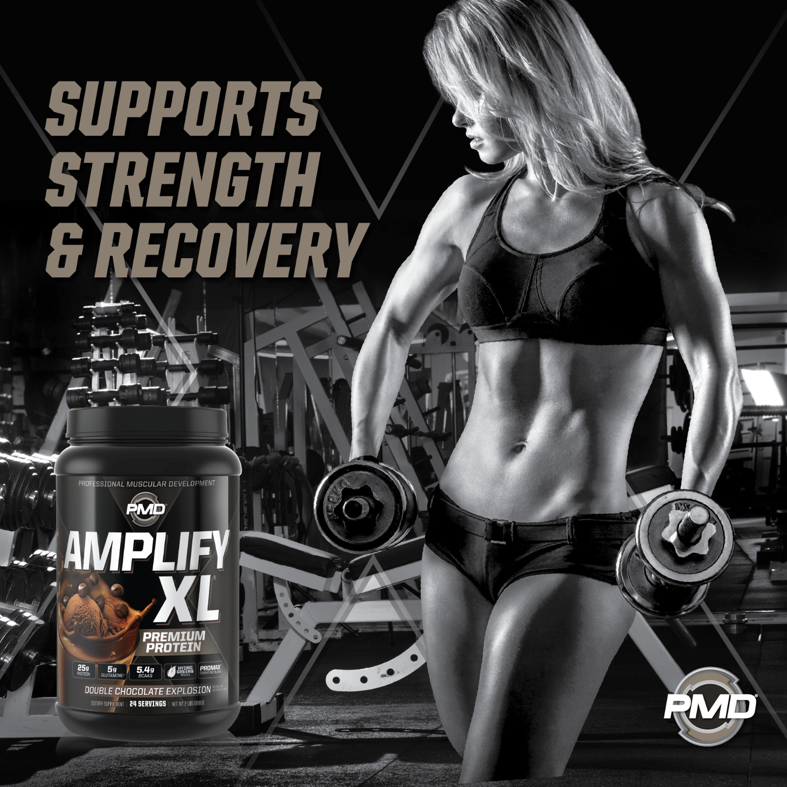 Amplify XL Protein Matrix – Strength & Recovery – Double Chocolate 24 Servings