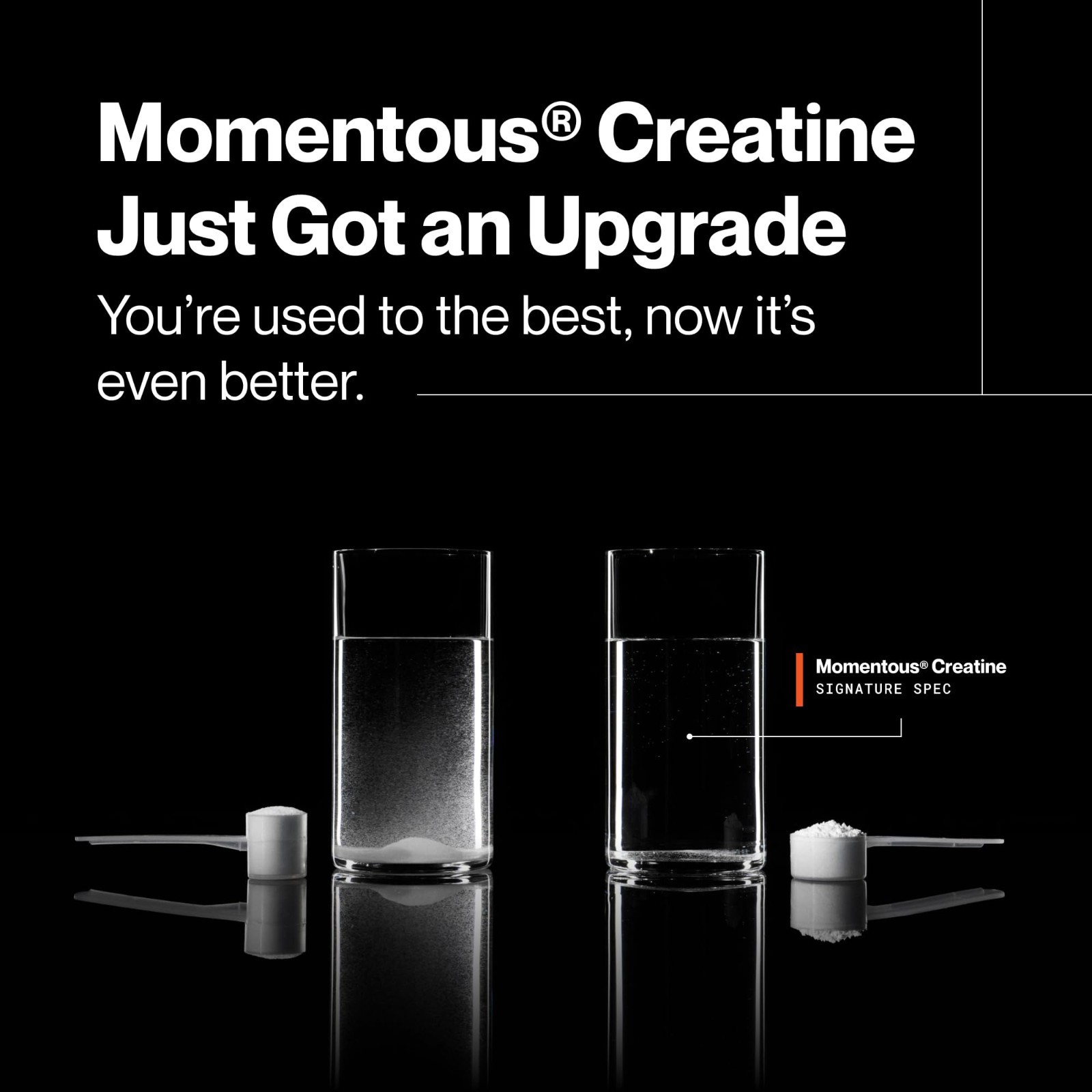 Creatine Monohydrate Powder – Supports Strength, Lean Muscle & Recovery – NSF Ce