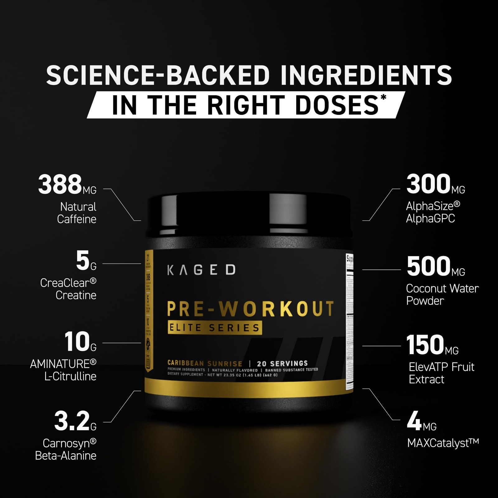 High-Stimulant Pre Workout Powder for Energy & Focus | L-Citrulline, Beta Alanin