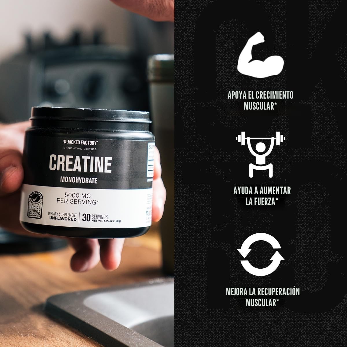 Jacked Factory Creatine Monohydrate 150g – Supplement for Muscle Growth