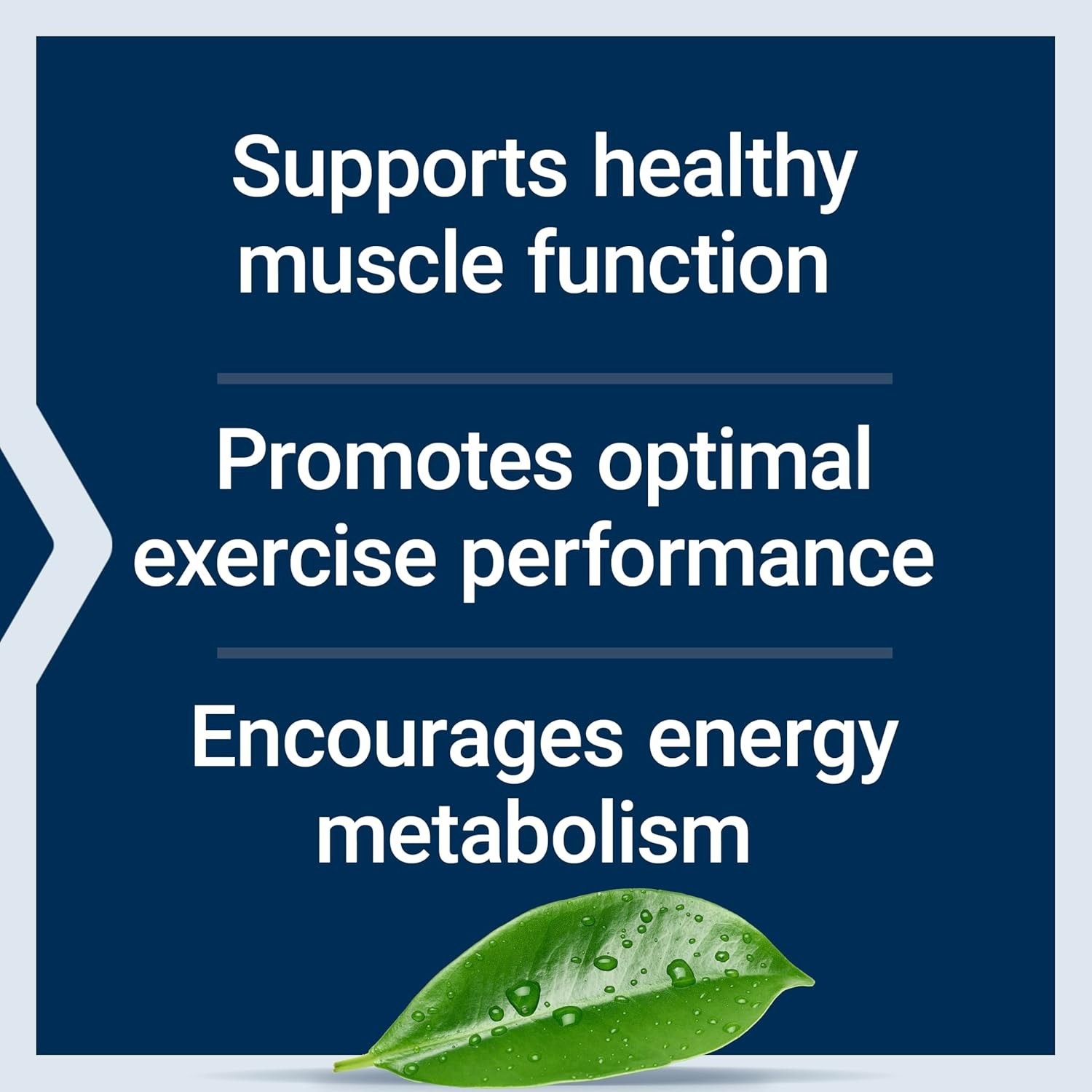 Micronized Creatine Monohydrate Capsules For Muscle Building Support Strength&Po