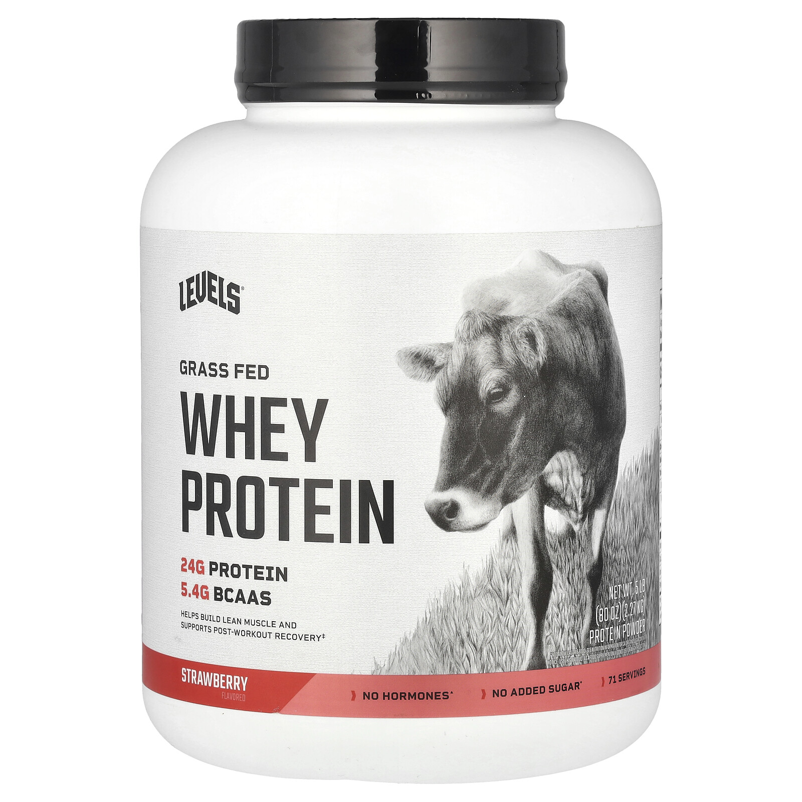 Grass Fed Whey Protein Powder, Strawberry, 5 lb (2.27 kg)