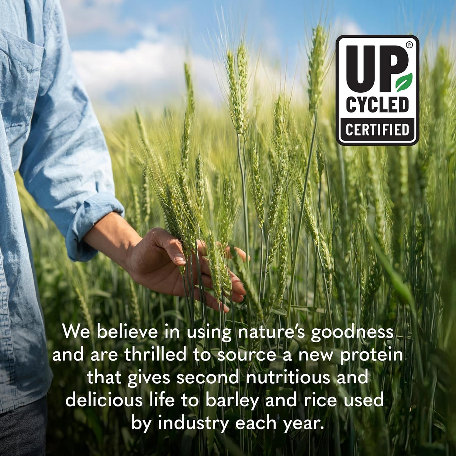 Plant-Based Sprouted Barley Protein, Chocolate with 21g Protein, 0g Sugar & C…