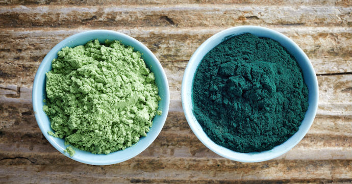 Shields Body From Bacteria – Blue Green Algae 500 – Organic Chorella Powder 6B