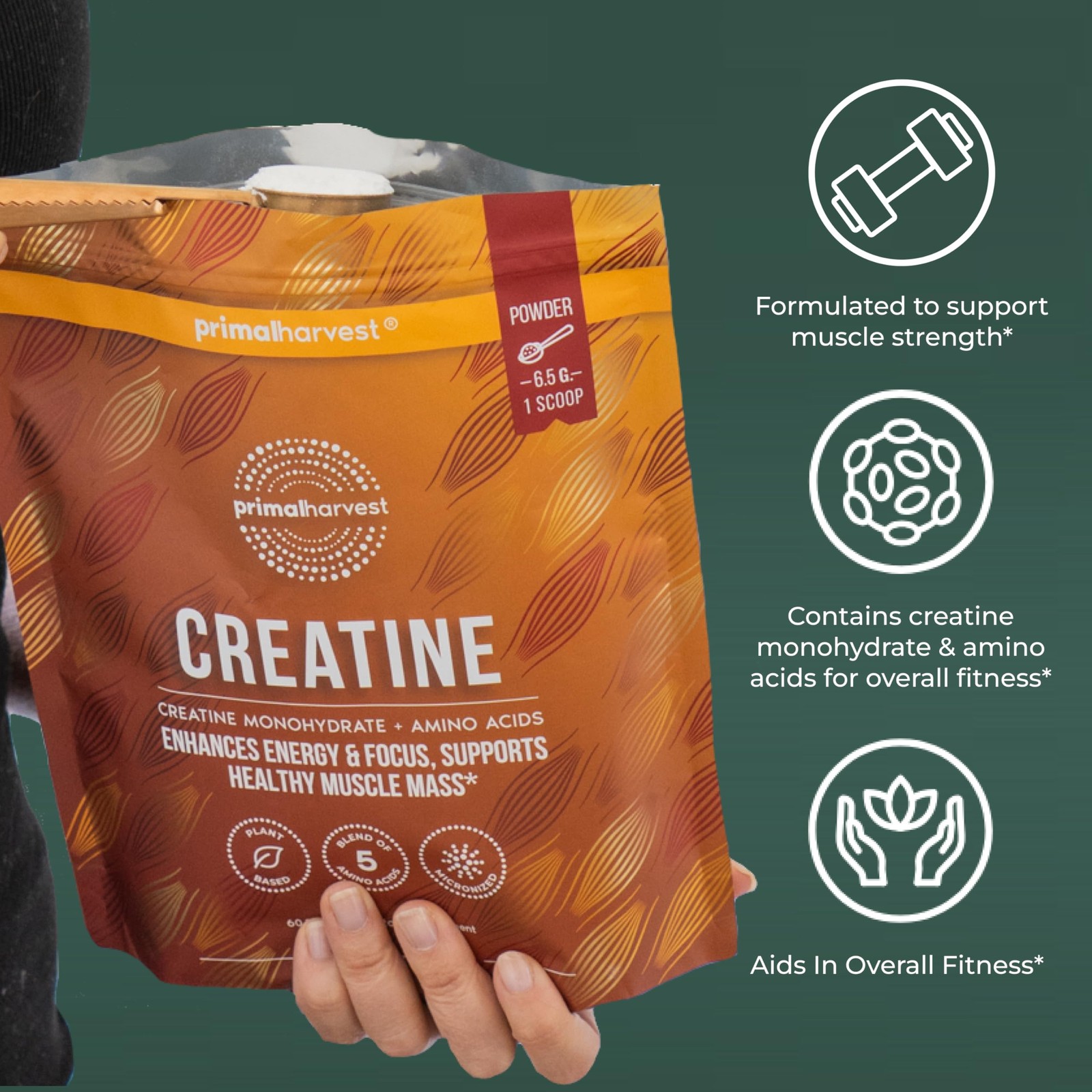 Primal Harvest Creatine Powder Supplement for Men and 13.7 Ounce (Pack of 1)