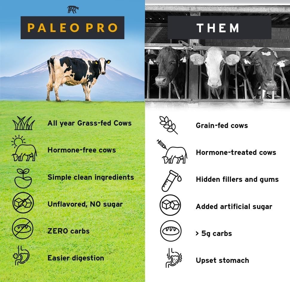 Keto & Paleo Protein with Ancient Cacao – Sugar-Free, Gluten-Free, 16oz