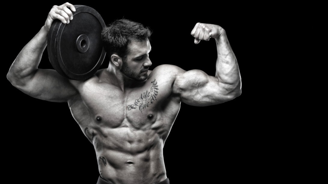 Bodybuilding Supplements – L-CARNITINE 510mg – Fat Burner – 3 Bottles