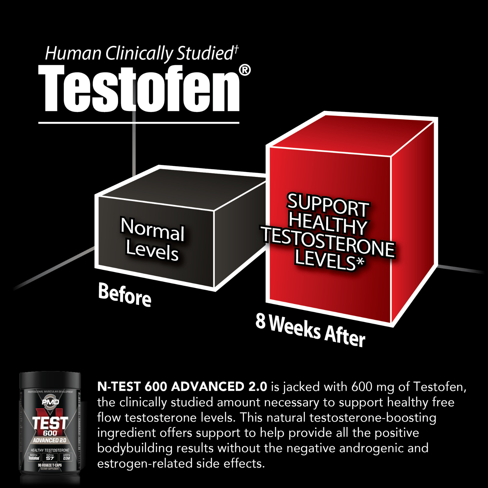 N-TEST 600 – Powerful Natural Testosterone Booster – Testofen – 90 Veggie T-CAPS