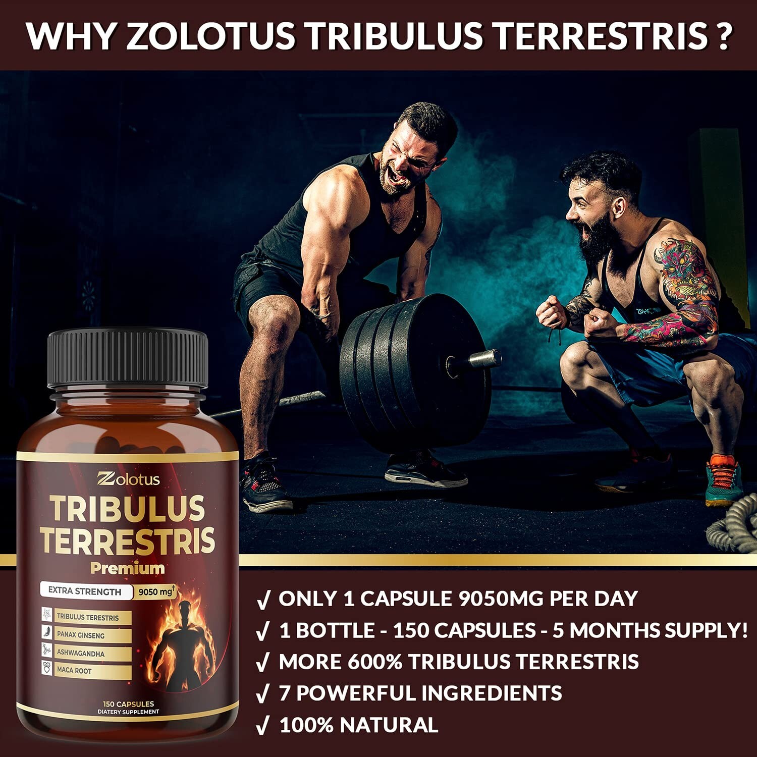 Tribulus Terrestris, 9050mg Per Capsule, 5 Months Supply with Ashwagndha, Pan…