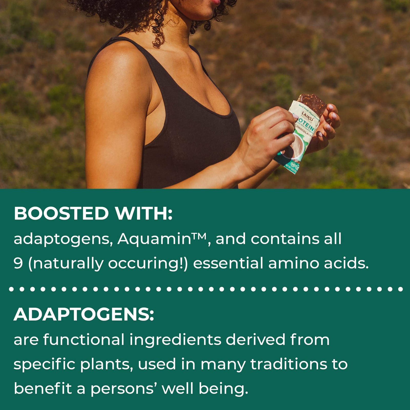 Laird Superfood Functional Protein Bars 1 Count (Pack of 10), Mint Chocolate