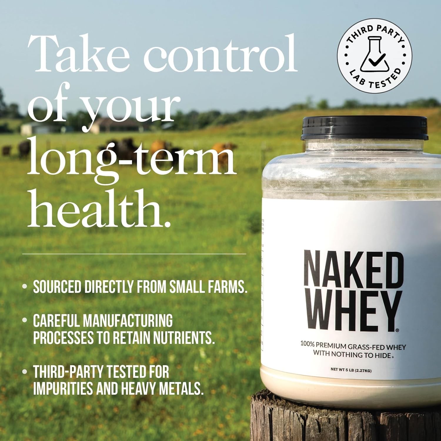 NAKED Chocolate Whey 1LB – All Natural Grass Fed 1 Pound (Pack of 1)