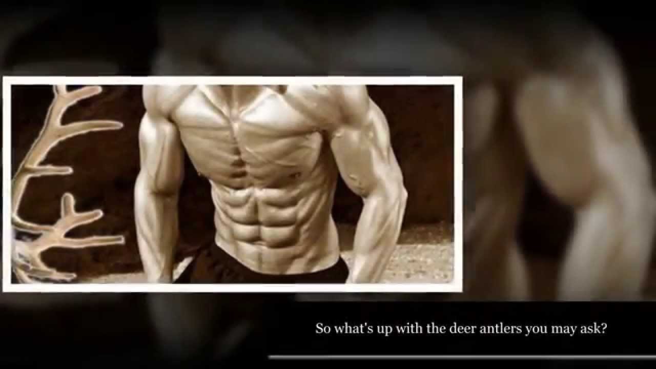 Male Stronger Orgasms Supplement – Elk Velvet Antler 550mg – Ginseng Extract 3B