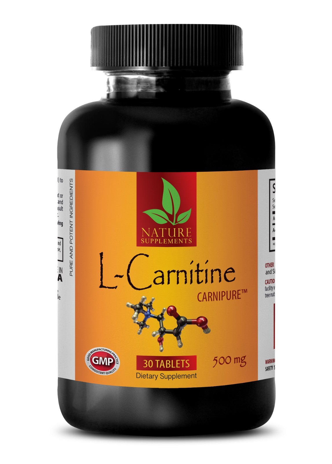 Energy Booster – L-CARNITINE 510mg – Extreme Fat Burner – 1 Bottle