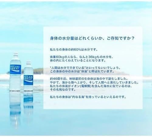 Otsuka Pocari Sweat Powder 10L x3 Packs Sports Drink Mix Japan