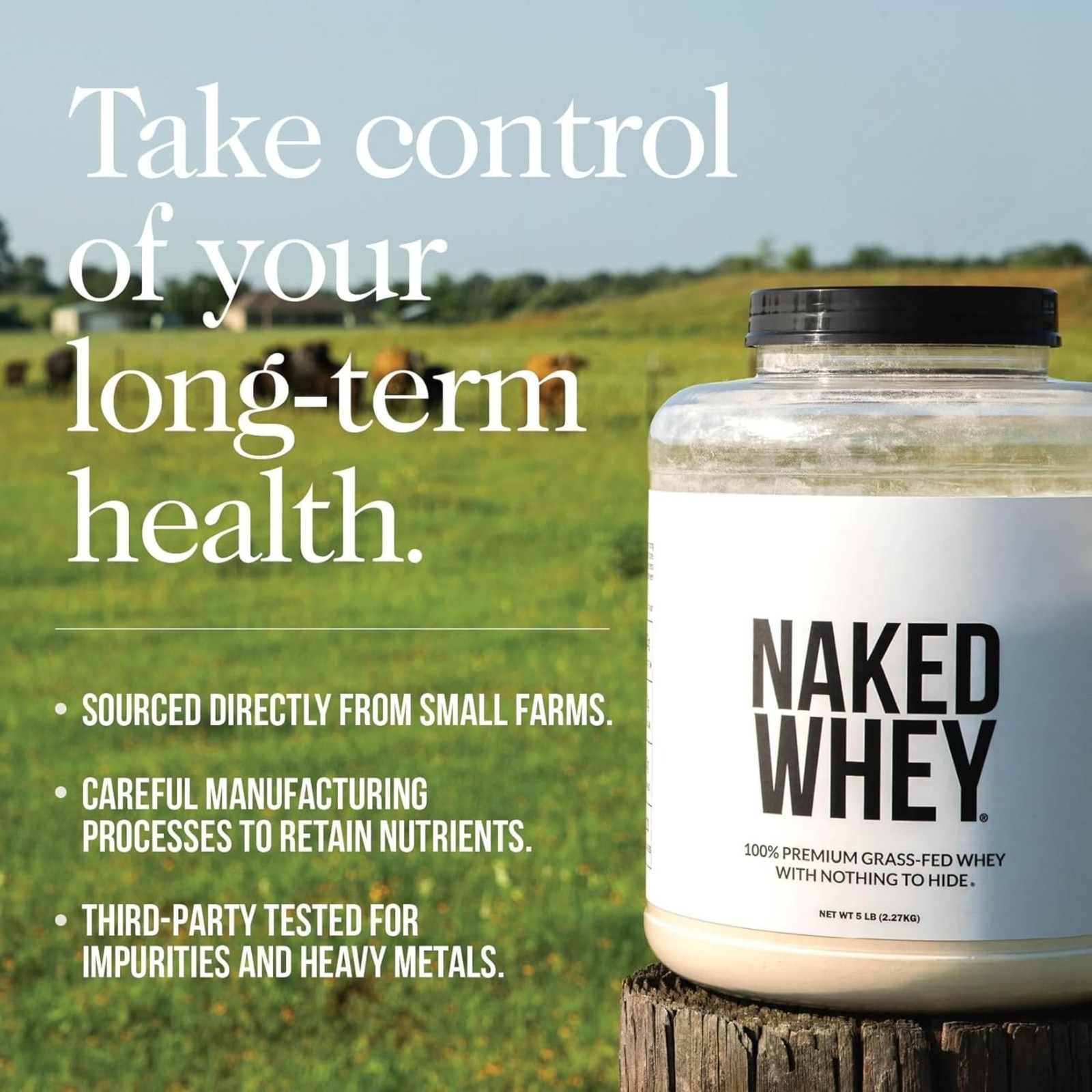 NAKED Vanilla Whey Protein 1Lb, Only 3 Ingredients, All 1 Pound (Pack of 1)