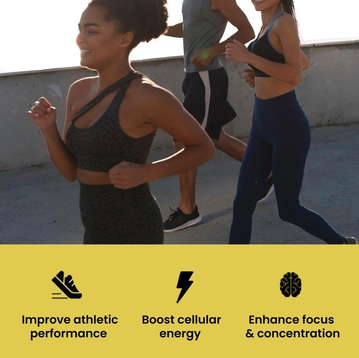Monohidrato de creatina micronizado en polvo – apoyo muscular, sin sabor