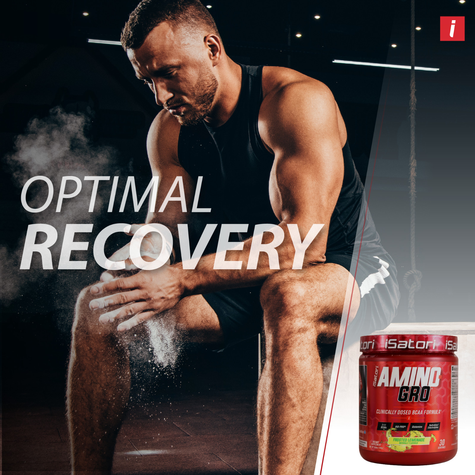 iSatori Amino-GRO-BCAA’s with Glutamine and Bio-Active Peptides – Lemonade