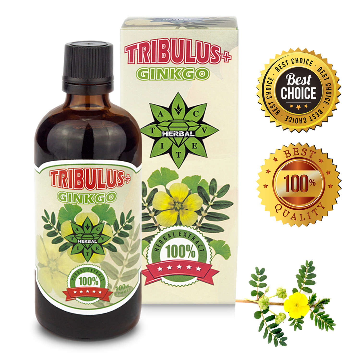 Tribulus terrestris and Ginkgo Biloba Testosterone booster Muscle Weight gainer