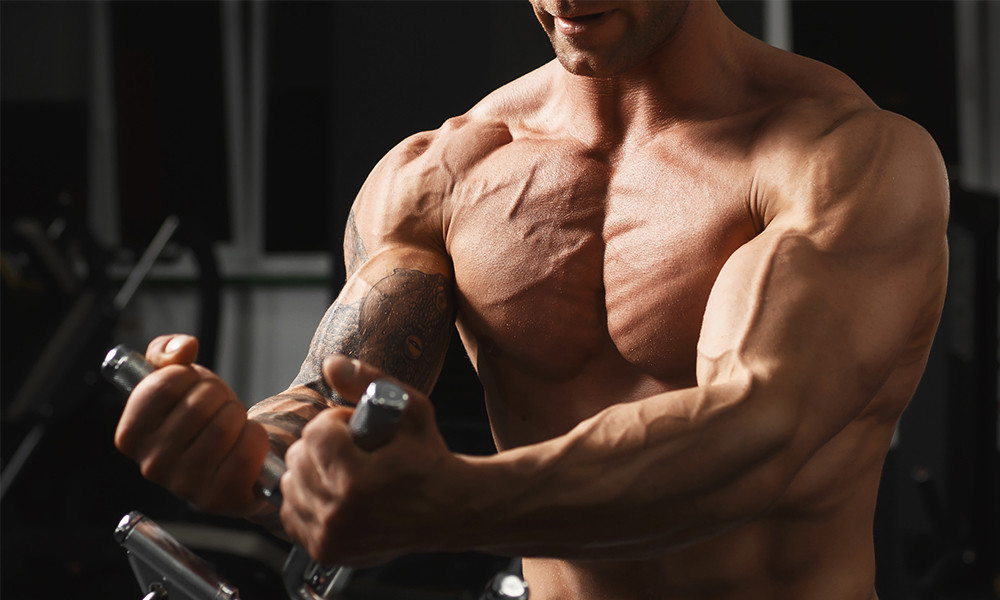 Muscle gain pills – CREATINE TRI-PHASE 2B – creatine Pyruvate – protein powder