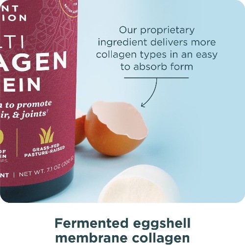 Ancient Nutrition Multi Collagen Protein Powder – Unflavored – 20 Servings