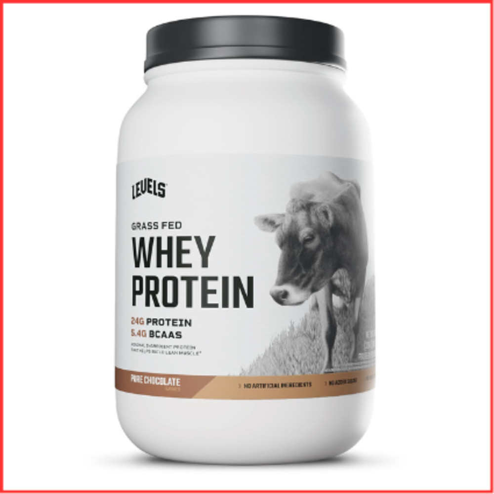 WHEY PROTEIN POWDER Grass Fed Pure Chocolate 2lb LEVELS NUTRITION