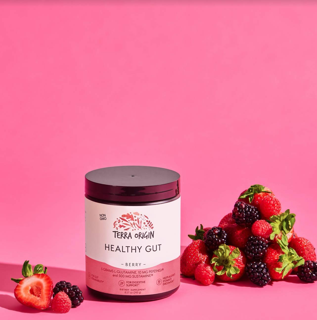TERRA ORIGIN Healthy Gut Powder (Berry Flavor) |30-Servings with L-Glutamine,…